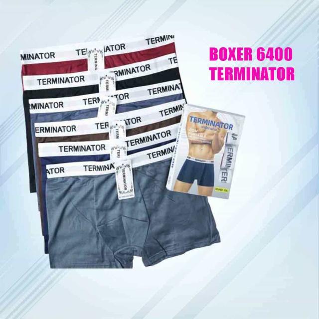 CD BXR TERMINATOR 6400 L