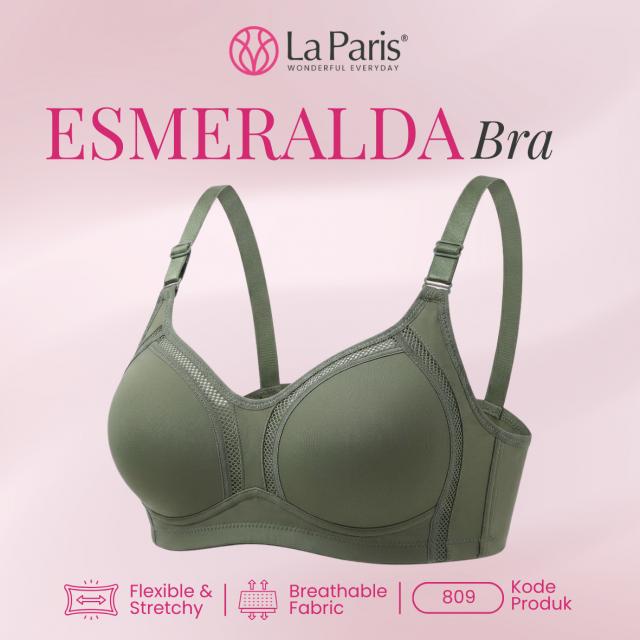 BH LAPARIS 809 