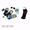 KK FM 495 